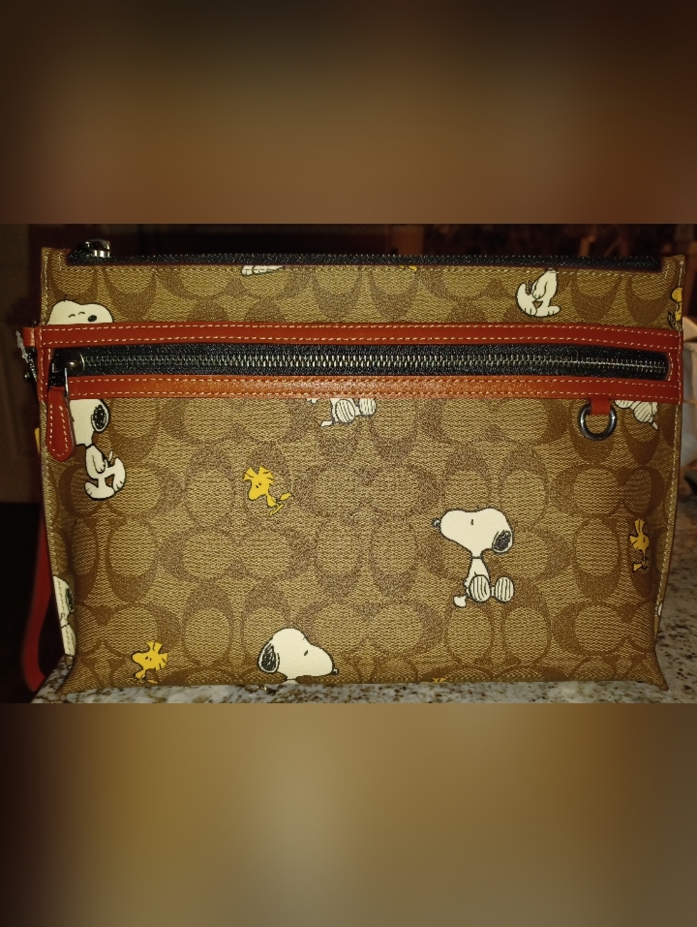 Coach x Peanuts Pouch